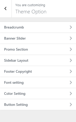 Theme Options